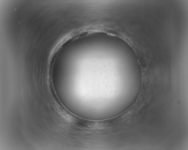 X0000053070293200507251507