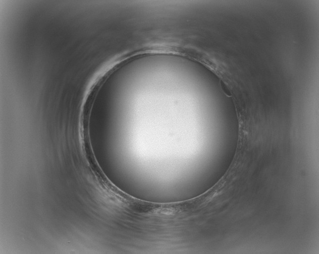 X0000053070294200507251507