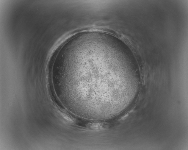 X0000053070295200507251507