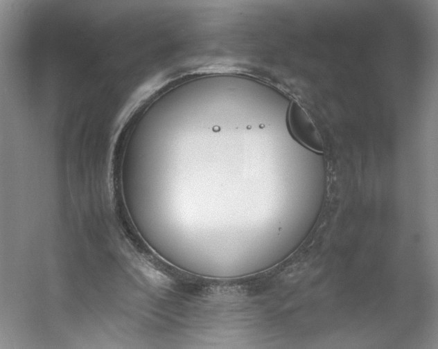 X0000053070296200507251507