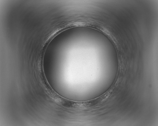 X0000053070297200507251507