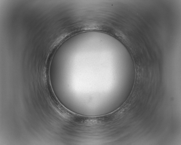 X0000053070298200507251507