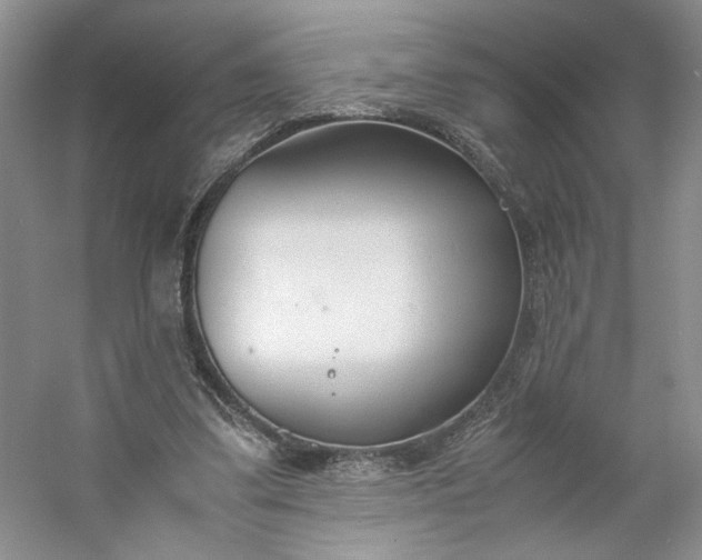 X0000053070299200507251507