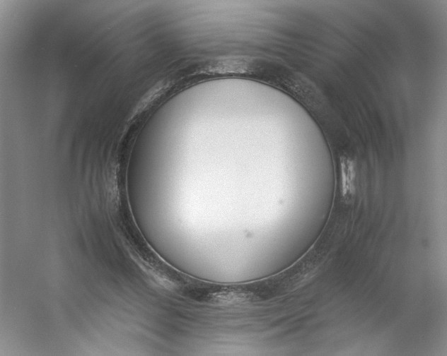 X0000053070300200507251507