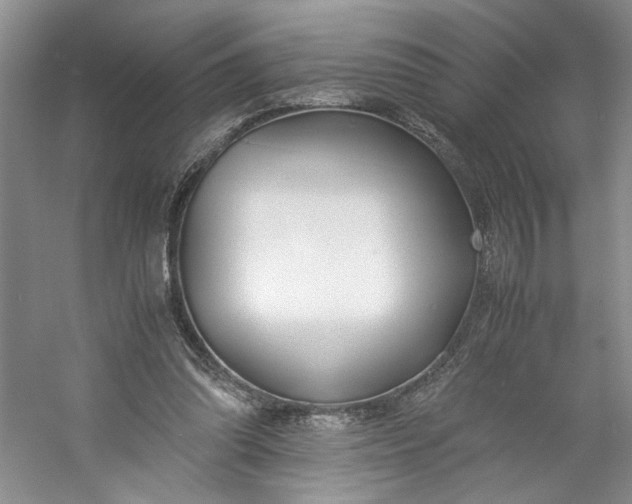 X0000053070302200507251507