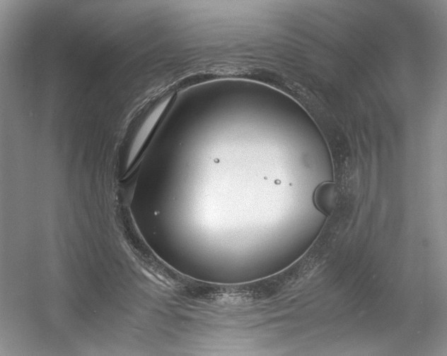 X0000053070303200507251507