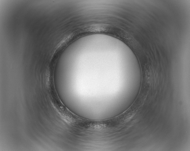 X0000053070304200507251507