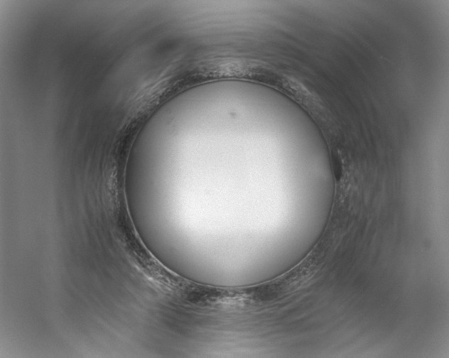 X0000053070306200507251506