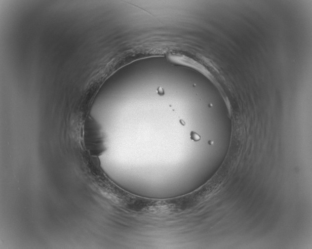 X0000053070307200507251506