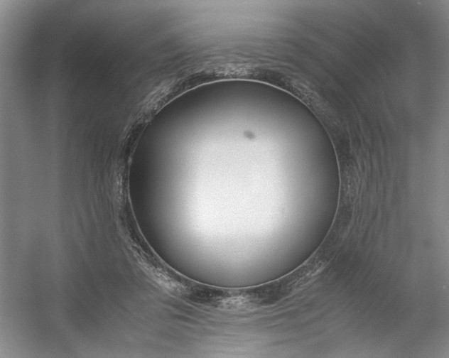 X0000053070309200507251506