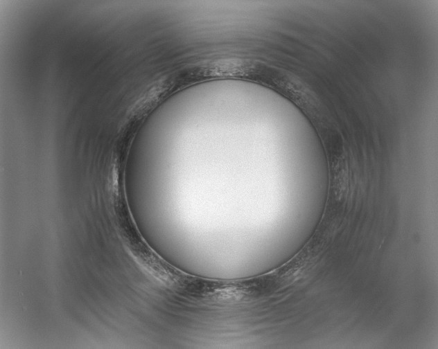 X0000053070310200507251506