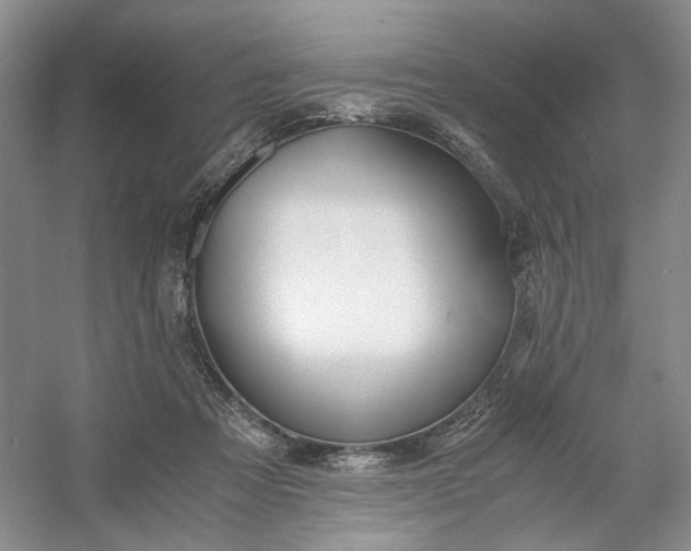 X0000053070313200507251506