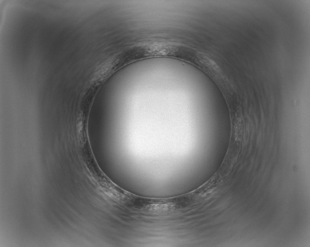 X0000053070314200507251506