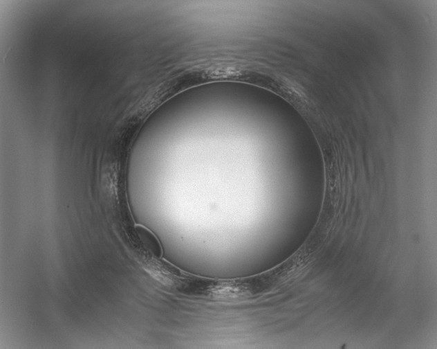 X0000053070315200507251506