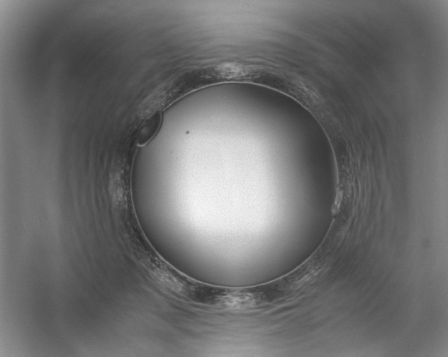 X0000053070317200507251506