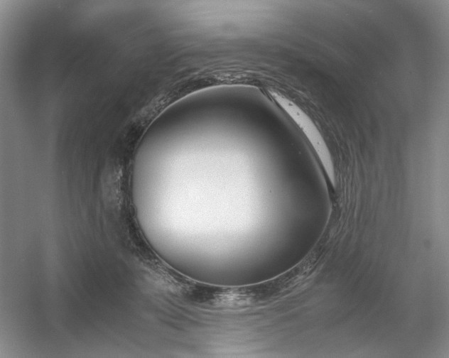 X0000053070319200507251506