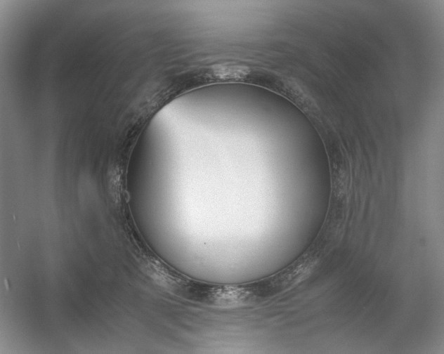 X0000053070321200507251506