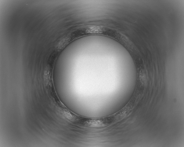 X0000053070322200507251506