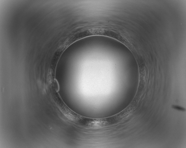 X0000053070323200507251506