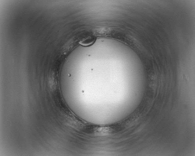 X0000053070324200507251506