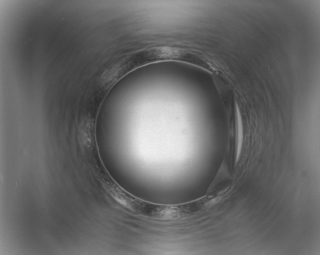 X0000053070325200507251506