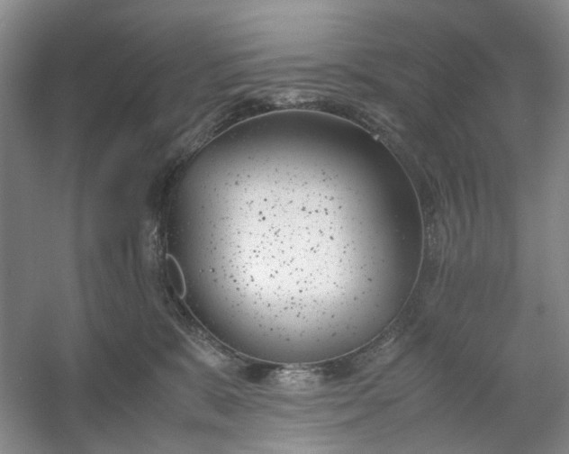 X0000053070327200507251506