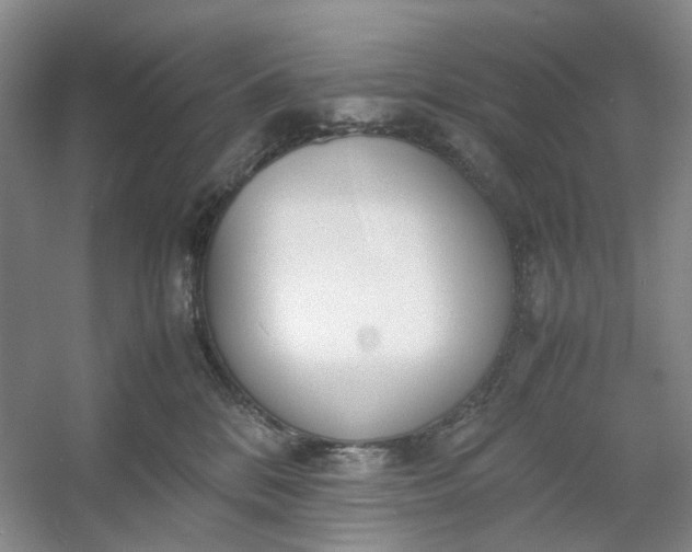 X0000053070328200507251506