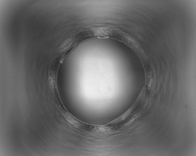 X0000053070329200507251506