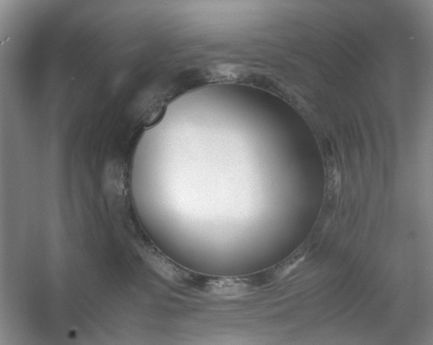 X0000053070331200507251506