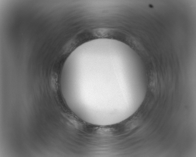 X0000053070332200507251506