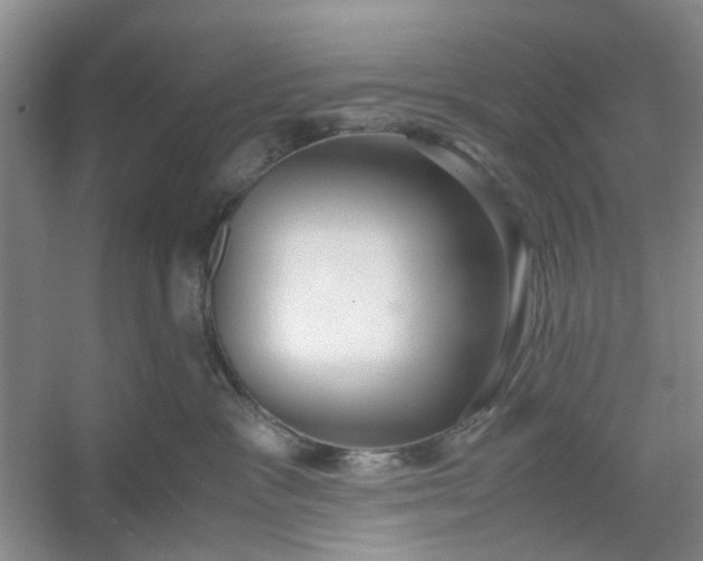 X0000053070333200507251506