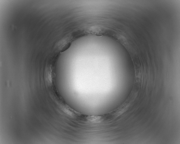 X0000053070334200507251506