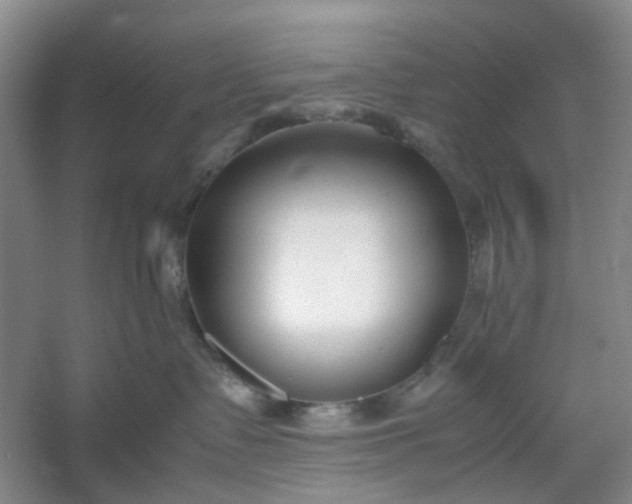 X0000053070335200507251506