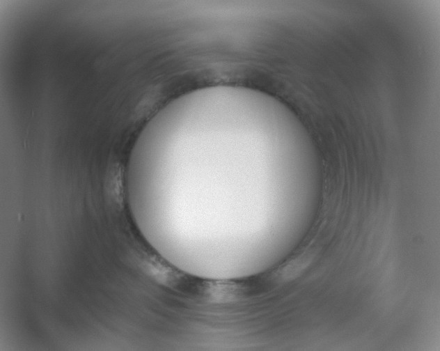 X0000053070336200507251506