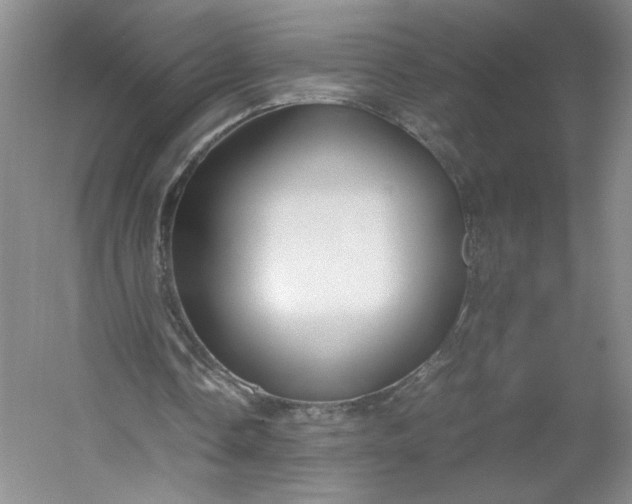 X0000053070338200507251505