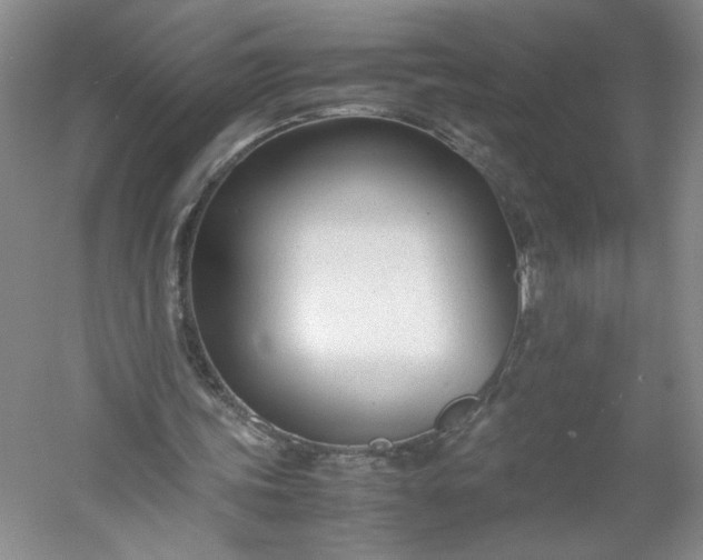 X0000053070339200507251505