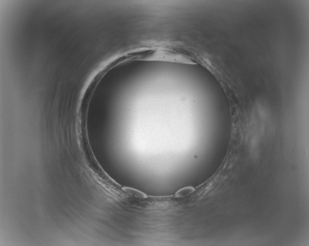 X0000053070342200507251505