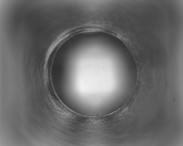 X0000053070343200507251505