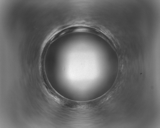 X0000053070344200507251505