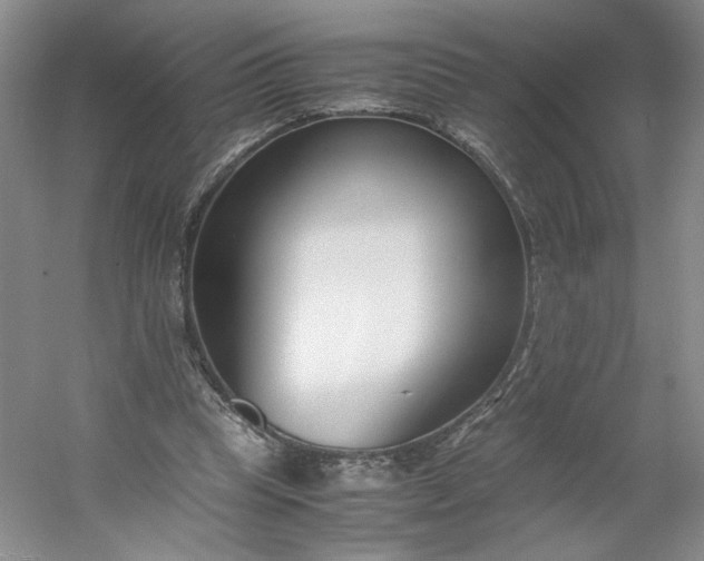 X0000053070345200507251505