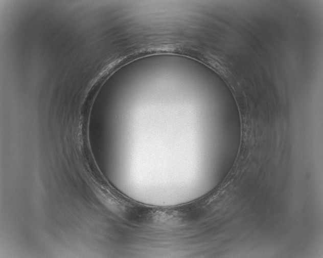 X0000053070346200507251505