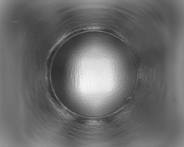 X0000053070347200507251505