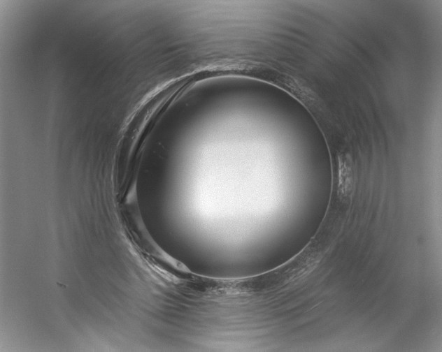 X0000053070348200507251505