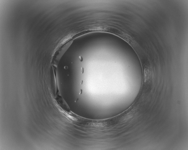 X0000053070349200507251505