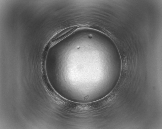 X0000053070351200507251505