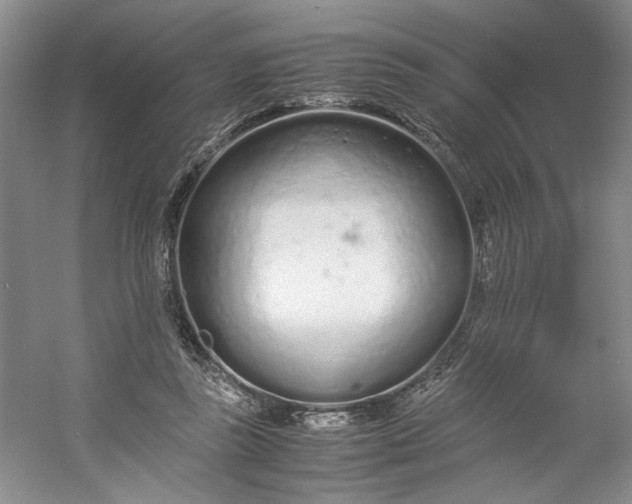 X0000053070355200507251505