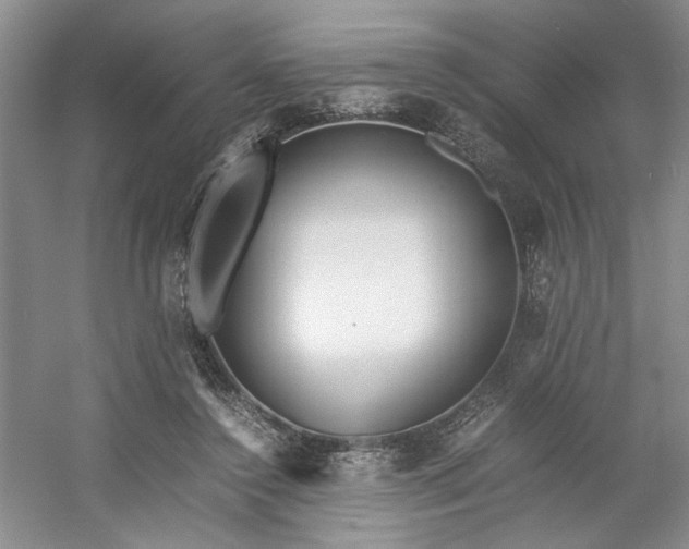 X0000053070356200507251505