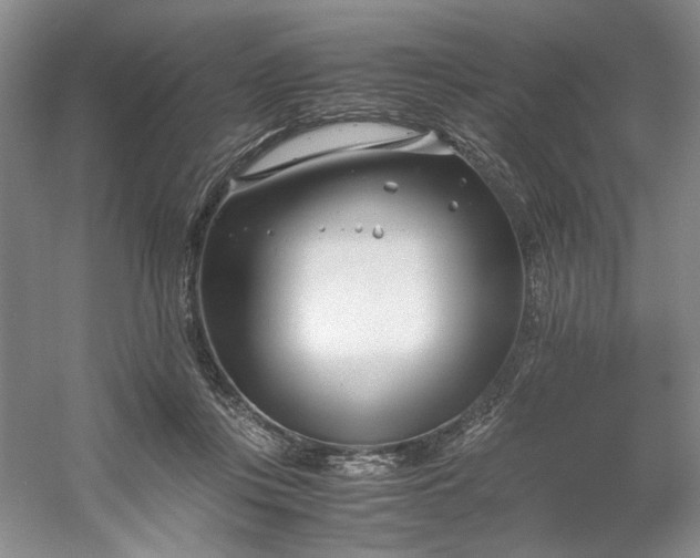 X0000053070359200507251506