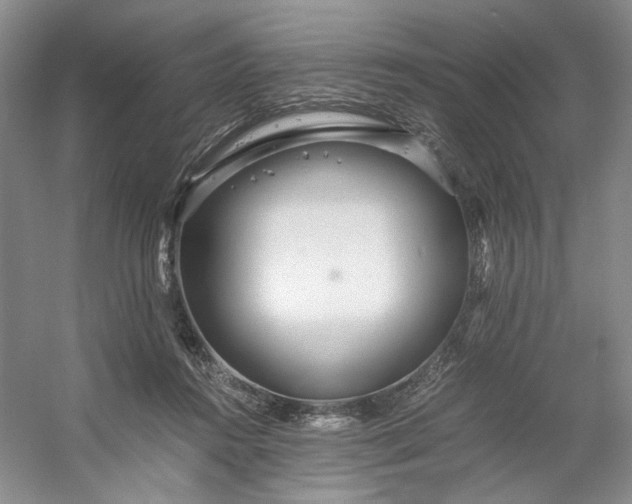 X0000053070360200507251506