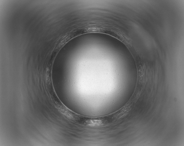 X0000053070361200507251506